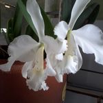Jane Claus - @jane.claus.359 - Instagram