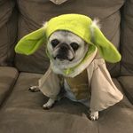 Jane Claus - @jmc2412 - Instagram