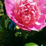 Jane Cliff - @jane.cliff.75 - Instagram