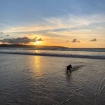 Jane Cliff - @janecliff9 - Instagram