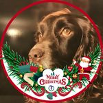 Lesley Jane Clifford - @cliffordlesleyjane - Instagram