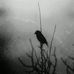 Jane Cloud - Facebook