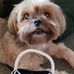 Janet Coakley - Facebook