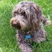 Jane Cobb - Facebook