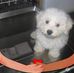 Jane Cobb - Facebook