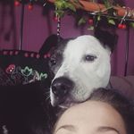 Cody Jane - @codyjanexox - Instagram