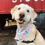 Colby Jane - @colby.j.a.n.e - Instagram