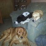Jane Colby - @colby5950 - Instagram