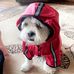 Janet Colby - Facebook