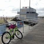 Jane Stefanik Coley - @jane.coley - Instagram