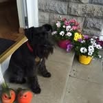 Jane Collie - @jane.collie - Instagram