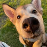 Jane Collie - @janecollie0 - Instagram