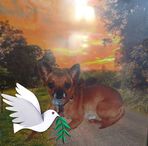 Jane Colon - Facebook
