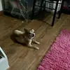 Jane Colon - @jane.colon - TikTok
