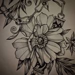 Lana Jane Colson - @ljctattoo - Instagram