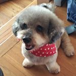 Jane Colton - @jecolton - Instagram