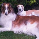 Janet Pyne-colwill - @janet.pynecolwill - Instagram