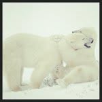 Jane Combs - @sloardro - Instagram