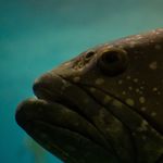 Jane Combs - @photographybyjanecombs - Instagram