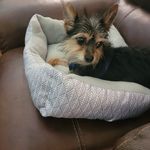 Jane Combs - @janecombs - Instagram