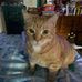 Jane Comfort - Facebook