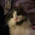 Jane Compton Davis - @janecompton0307 - Instagram