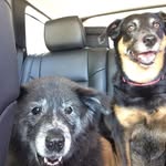 Jane Conlin - @janemconlin - Instagram