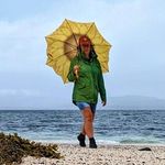 Jane Conlon - @janeconlon - Instagram