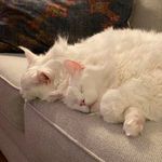 Jane Conlon-Werner - @conlonwerner - Instagram