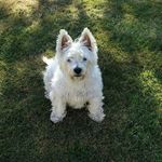 jane connelly - @connelly.jane - Instagram