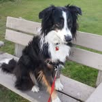 Jane Connors-Geddes - @janeconnorsgeddes - Instagram