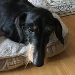 Jane Fitzpatrick Connors - @jcnnrs - Instagram
