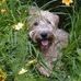 Jane Conover - Facebook