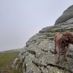 Jane Constantine - @doogiedoodle - Instagram