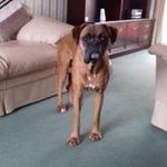 Jane Constantine - @jane.constantine.338 - Instagram