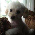 Jane Conti - @njjane1968 - Instagram