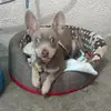 Jane Contreras - @jane.contreras64 - TikTok