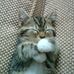 Jane Copley - Facebook