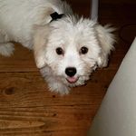 Linda Jane Copley - @is1natural63 - Instagram