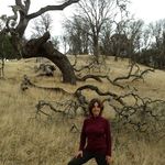 Jane Corey - @jane.corey.54 - Instagram