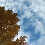 Jane - @jane_corey - Instagram
