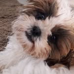 Emma Jane Cormack - @cormack549 - Instagram