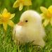 JaneAnne Ferguson Cormack - Facebook