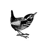 Jane Cornwell - @jane_cornwell_studio - Instagram
