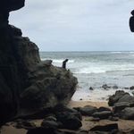 Jane Cornish - @jane_cornish1995 - Instagram