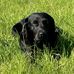 Jayne Cornwell - Facebook