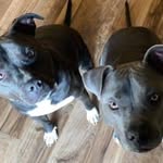 Janet Courtright - @janetcourtright - Instagram