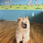 Janet Courtright - @courtright.janet - Instagram