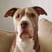Jane Cousins - Facebook