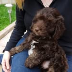 Sally Jane Cousins - @sally.j.cousins.5 - Instagram
